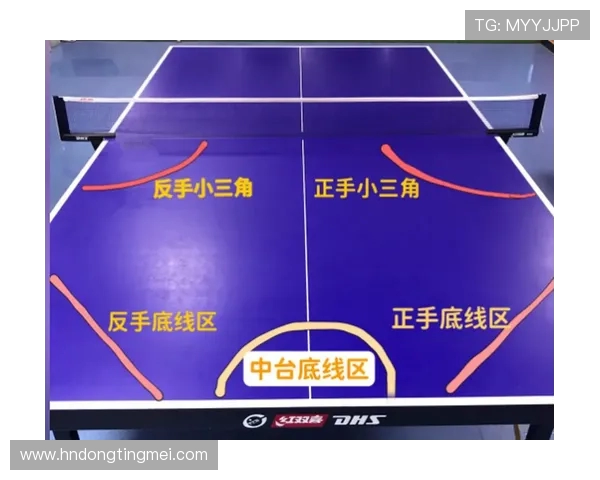 乒乓球新手必看:从零基础到技术入门的全面攻略与实用技巧分享 乒乓球新手必看:从零基础到技术入门的全面攻略与实用技巧分享