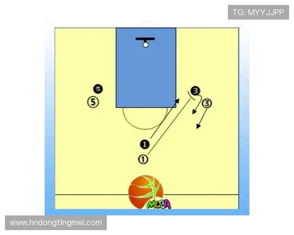 从零开始掌握篮球战术的全面指南与实战技巧解析 从零开始掌握篮球战术的全面指南与实战技巧解析