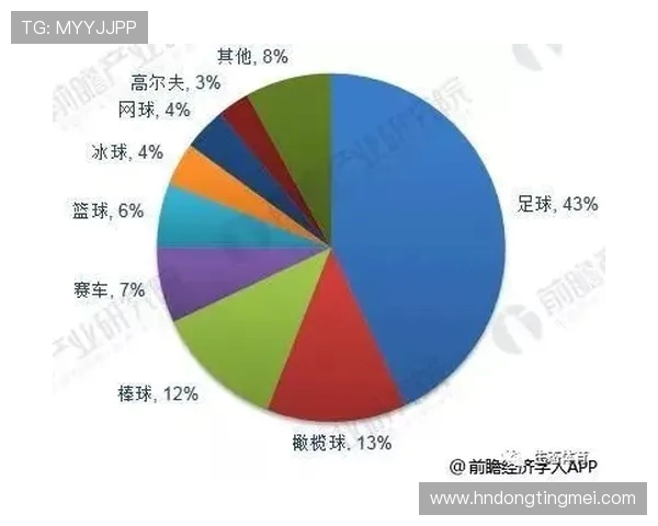 上海网球队战术表现深度解析与数据分析探讨 上海网球队战术表现深度解析与数据分析探讨