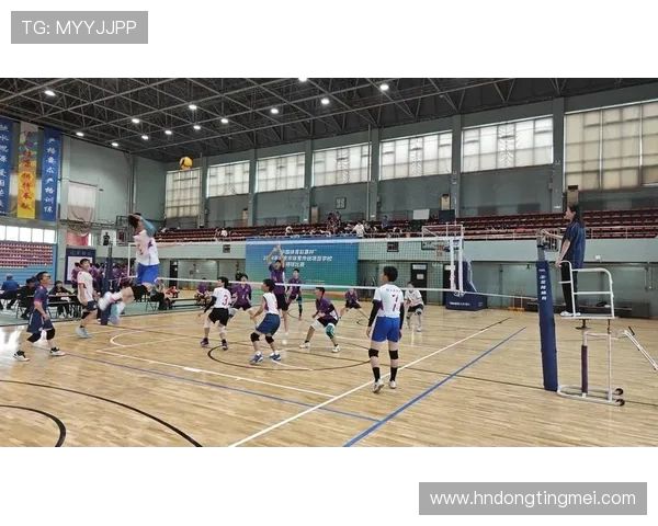 北京排球队实力分析与发展潜力探讨聚焦排球运动的未来之路