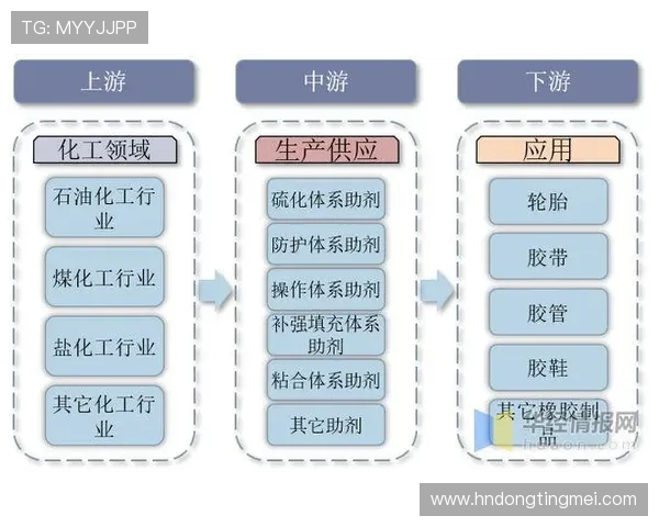 广州篮球队的控制革新探索与实践全景分析