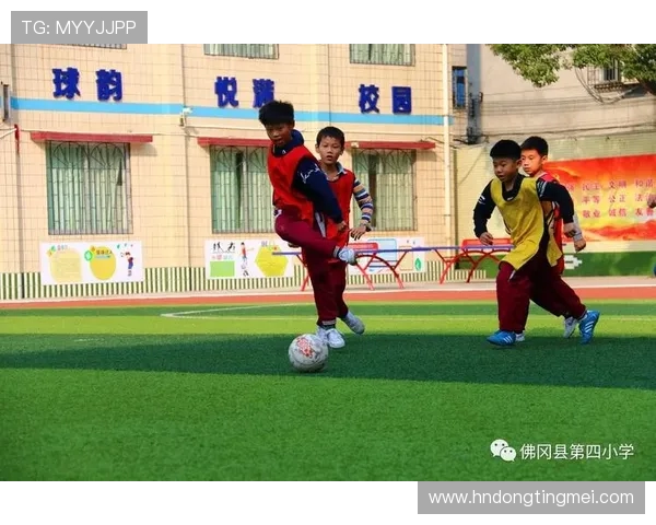 广州飞盘队的拼搏之路与极限运动联赛的梦想追逐