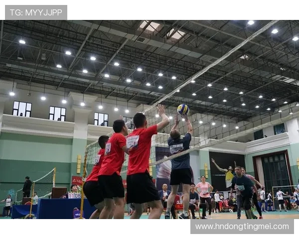 成都排球队的速度分析与战术运用探讨排球竞技的未来发展方向