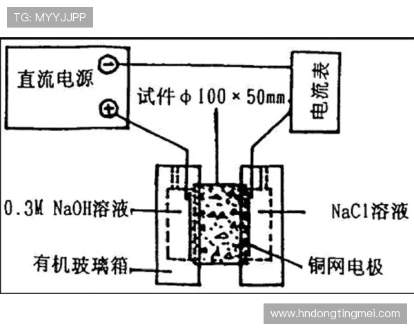 杭州排球队边路渗透战术分析及其对比赛结果的影响探讨
