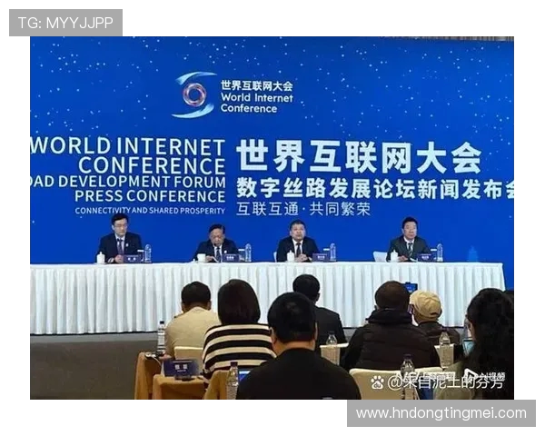 深度探讨吴强在DOTA2世界中的成长与挑战之路