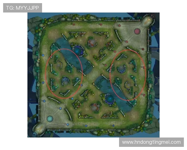 王者荣耀耐力排行榜最新出炉IG战队强势领跑前十名