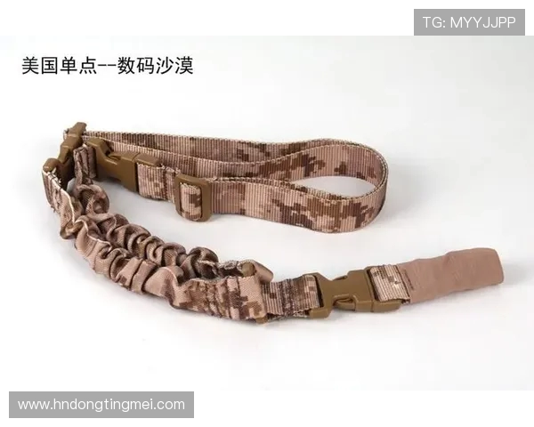 西安极限运动队战术解析与训练策略探讨