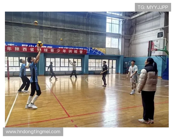 西安排球队个人能力提升的热议与变革探索