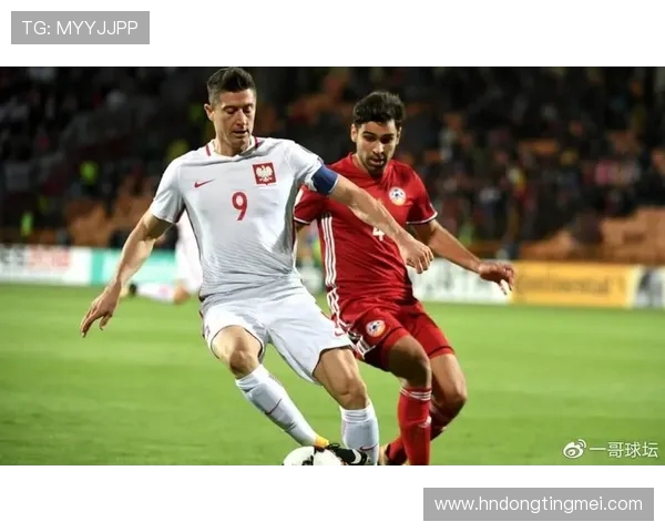 北爱尔兰与匈牙利足球对决全面分析及战术解析