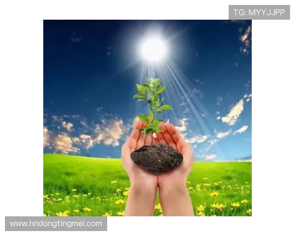 张帆的奋斗历程与人生哲学探讨如何在逆境中找到前行的力量与方向