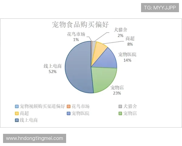 北京网球队的意识探讨与发展现状分析