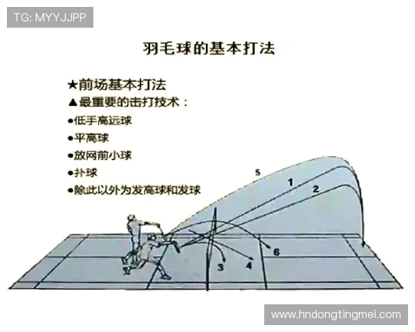 成都羽毛球队中路突破战术解析与实战应用探讨