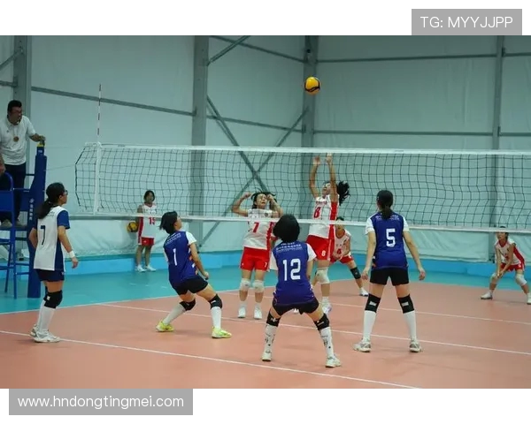 李娜亲授排球技巧与心得体会助你提升竞技水平