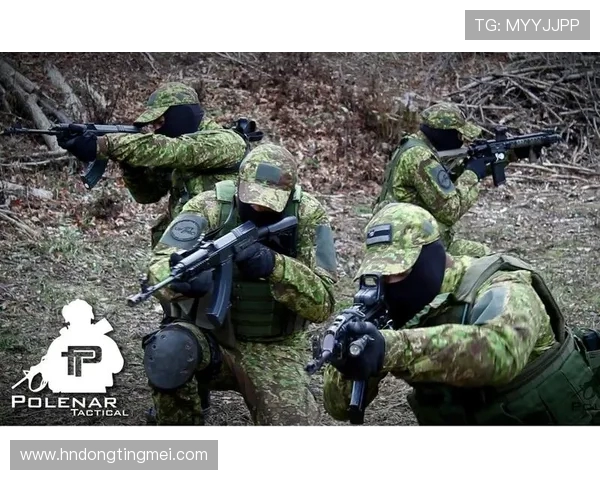 深入分析FPX战队的进攻策略与战术执行细节