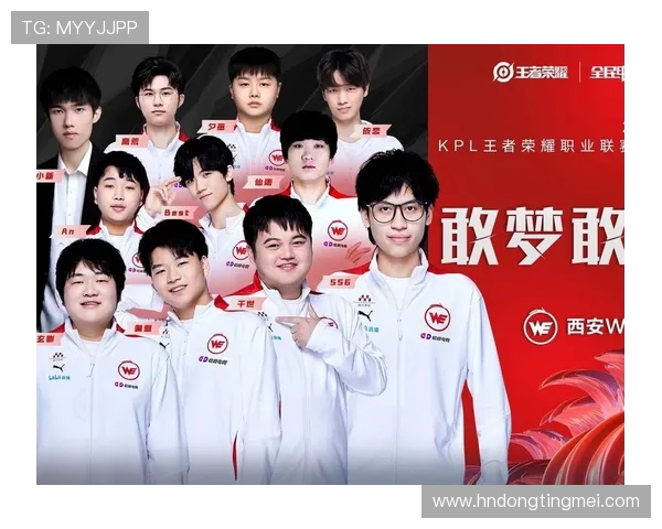 WE战队的拼搏之路与成长历程深度解析