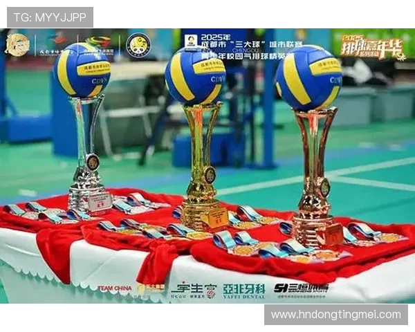 成都排球队在城市联赛中的比赛经验与表现分析